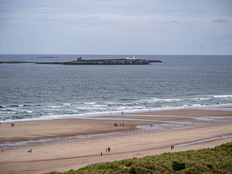 Farne Isles