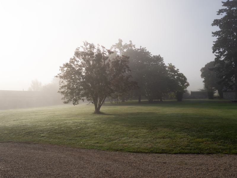Morning light, France
