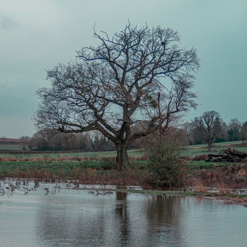 Flooded Herefordshire